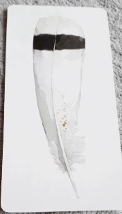 Divine Feather Messenger